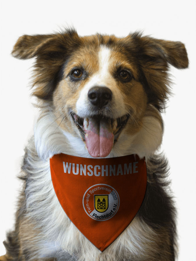 Hundehalstuch