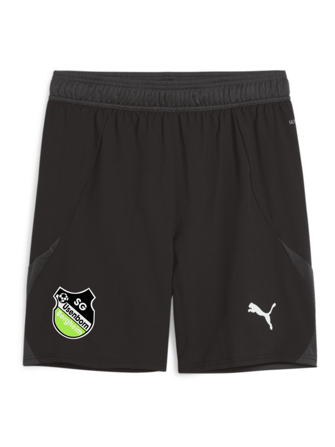 PUMA teamFINAL Shorts