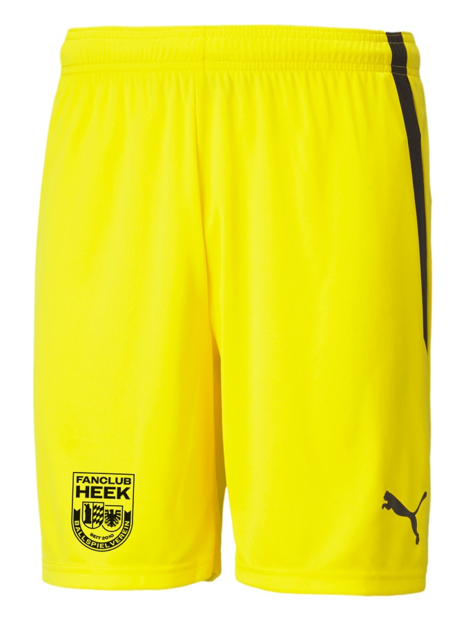 PUMA teamLIGA Shorts