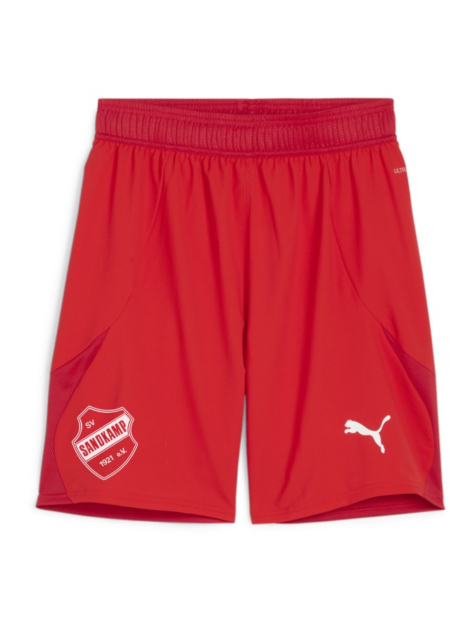 PUMA teamFINAL Shorts