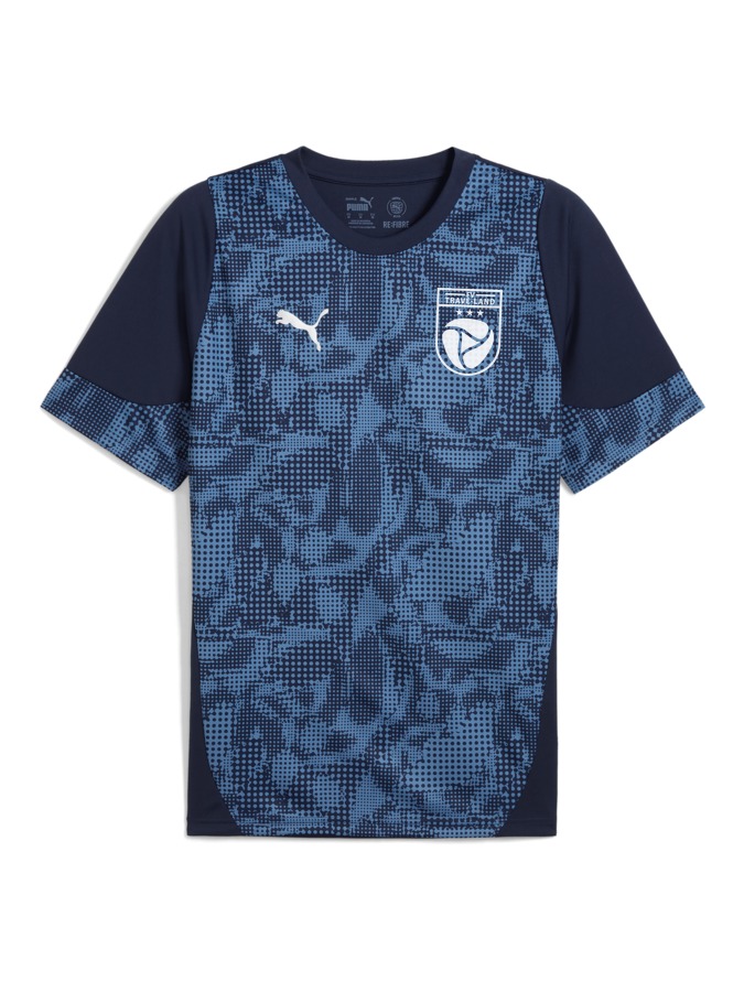 PUMA teamCUP Trainingsshirt