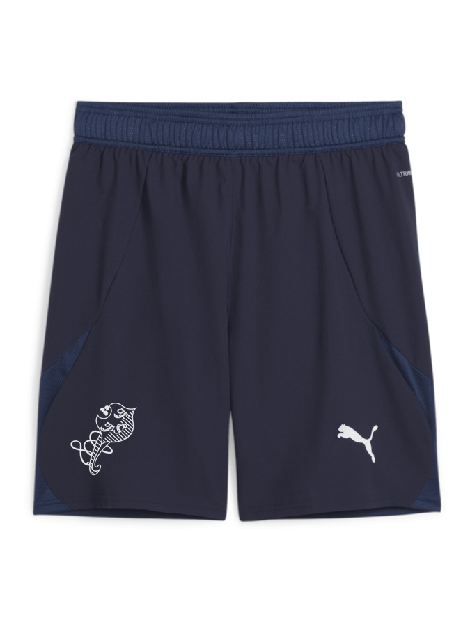 PUMA teamFINAL Shorts