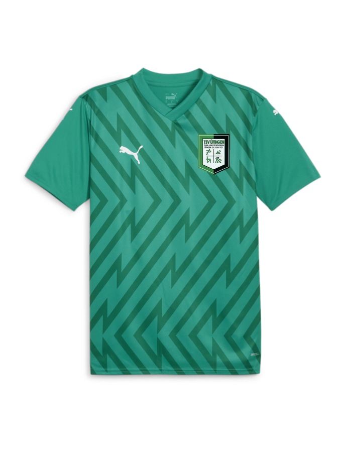 PUMA teamGLORY Trikot