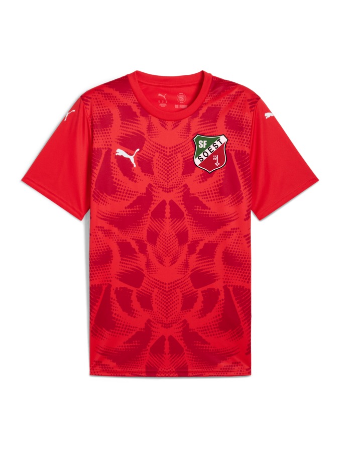 PUMA teamULTIMATE Trikot