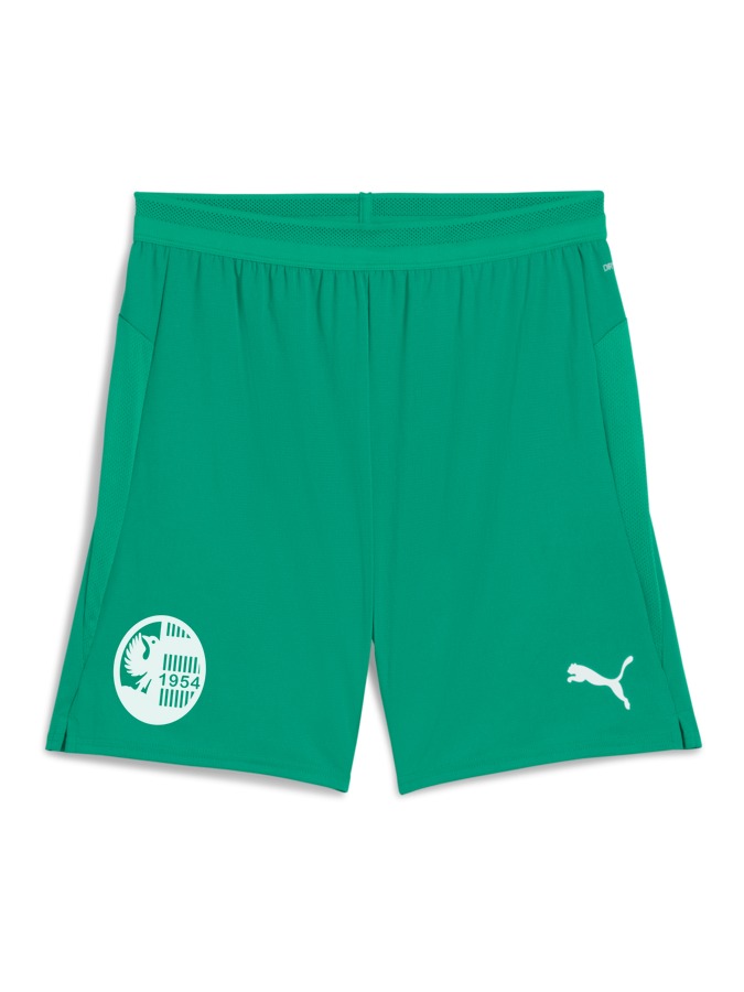 PUMA teamCUP Shorts