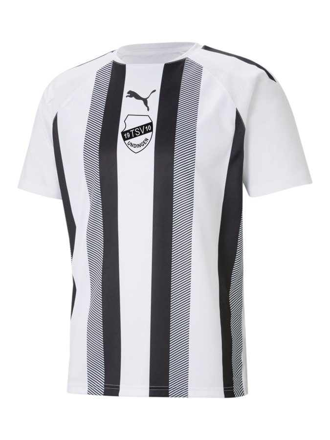 PUMA teamLIGA Striped Trikot