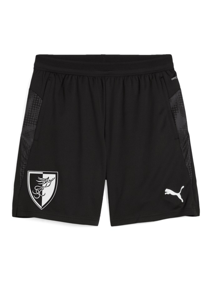 PUMA teamCUP Training Shorts
