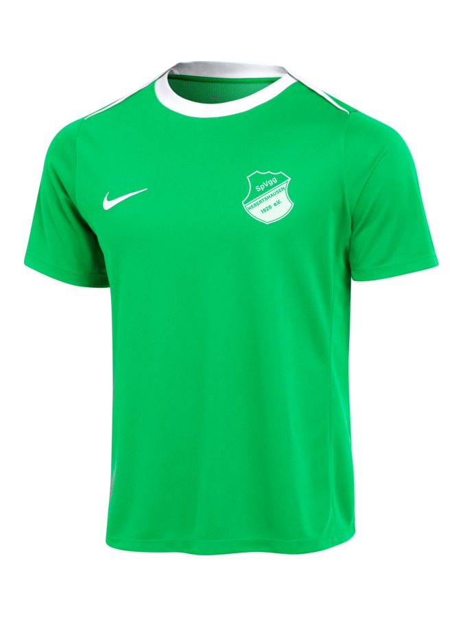 Nike Academy Pro 24 T-Shirt Herren