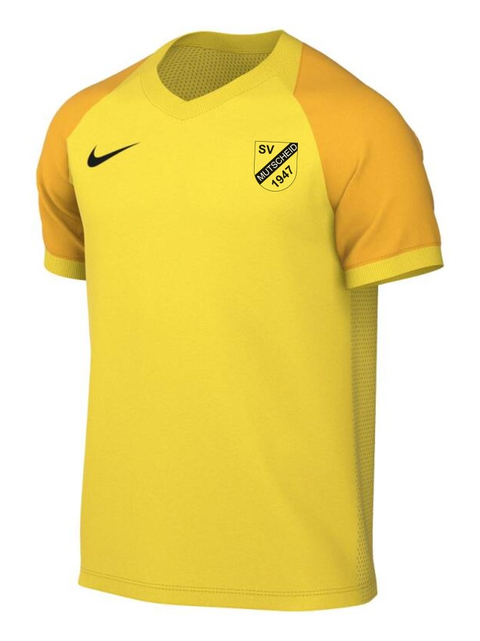 Nike Trophy VI Trikot