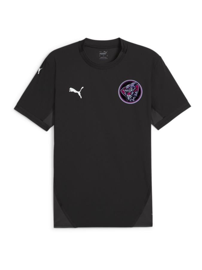 PUMA teamFINAL Trikot