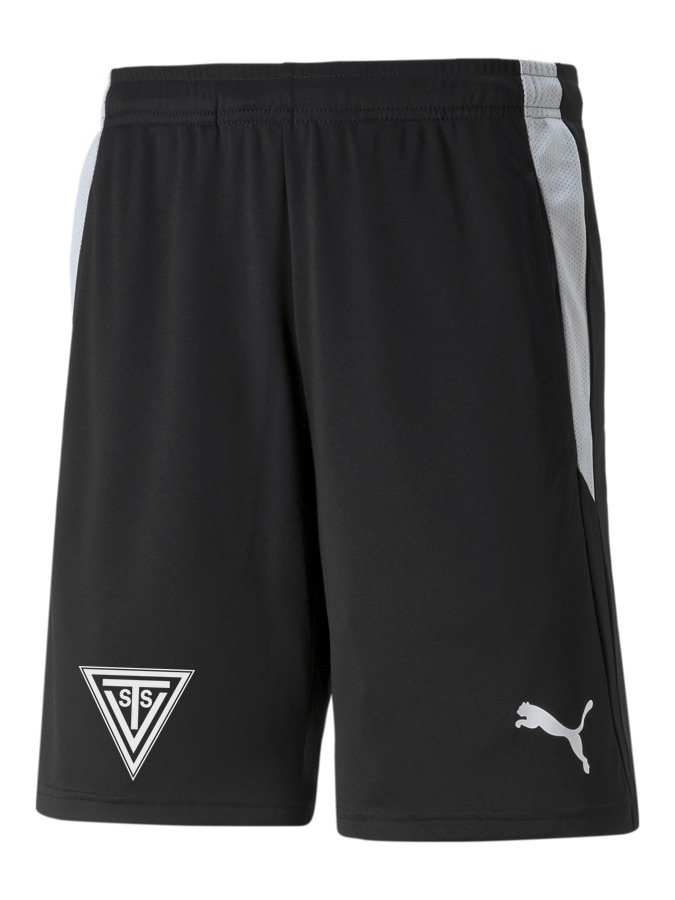 PUMA teamLIGA Referee Shorts