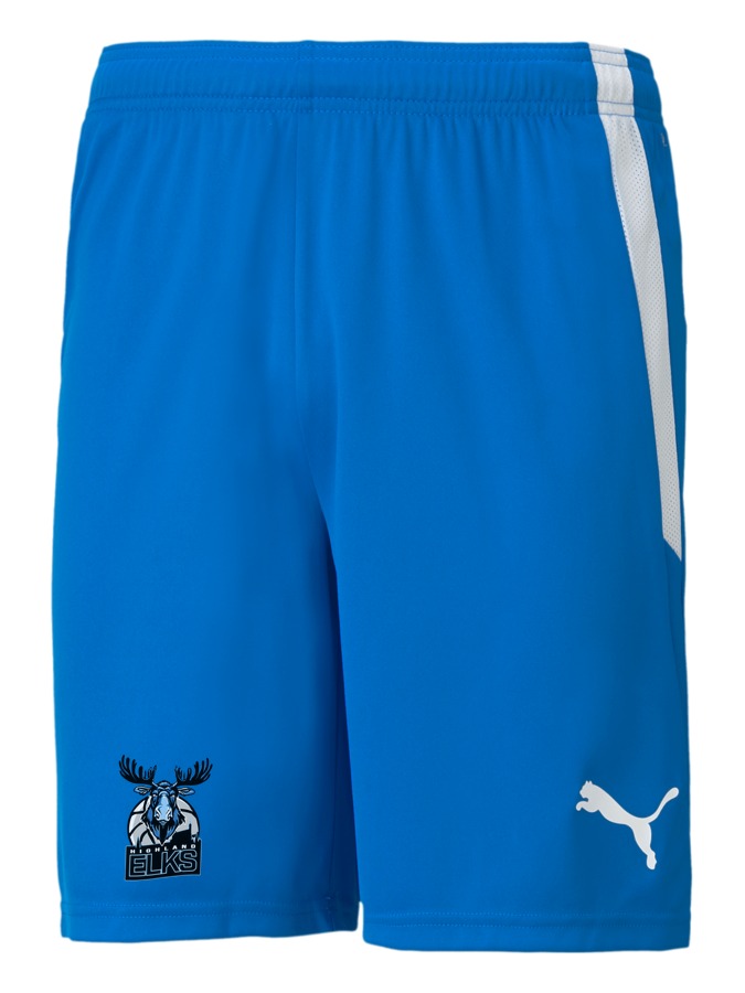 PUMA teamLIGA Shorts