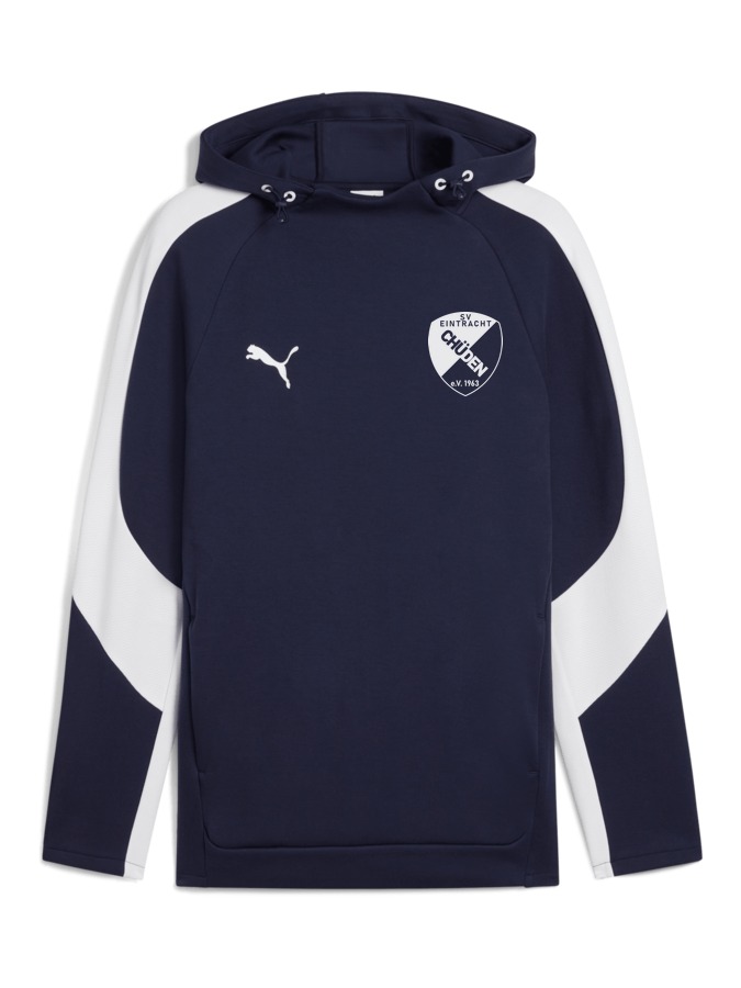 PUMA teamEVOSTRIPE Hoody