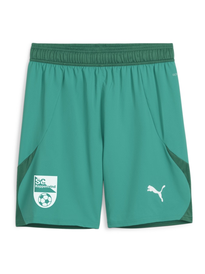 PUMA teamFINAL Shorts