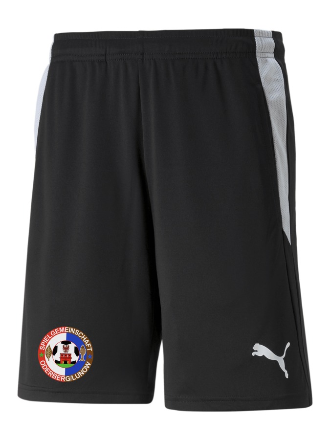 PUMA teamLIGA Referee Shorts