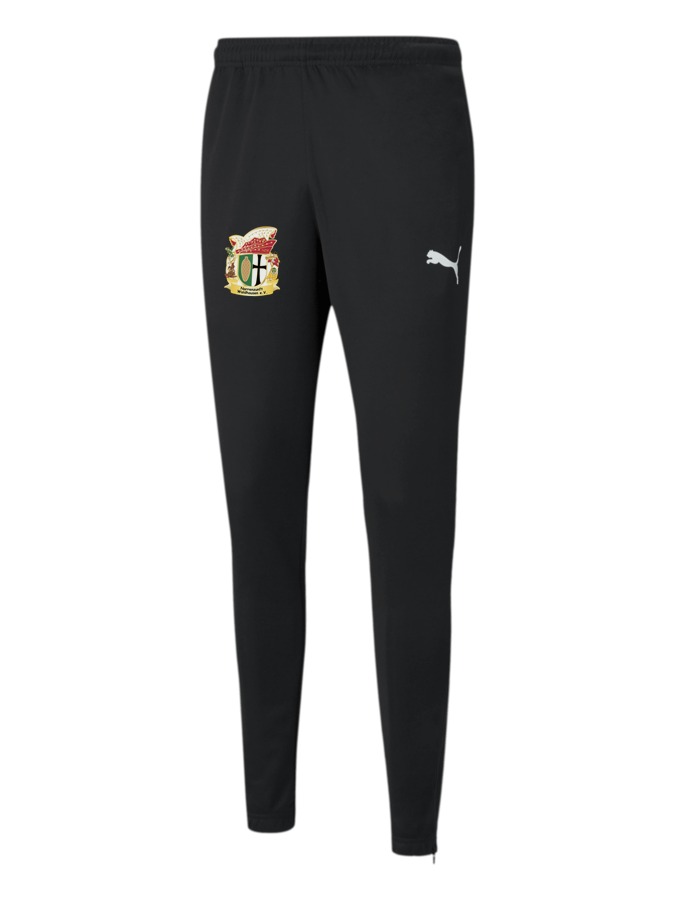 PUMA teamRISE Poly Trainingshose