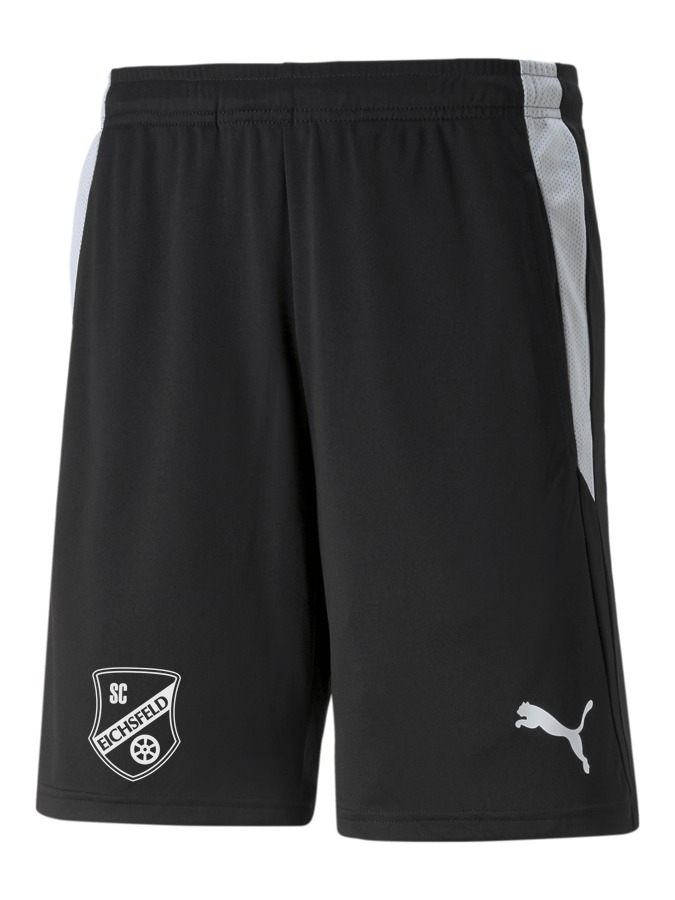 PUMA teamLIGA Referee Shorts