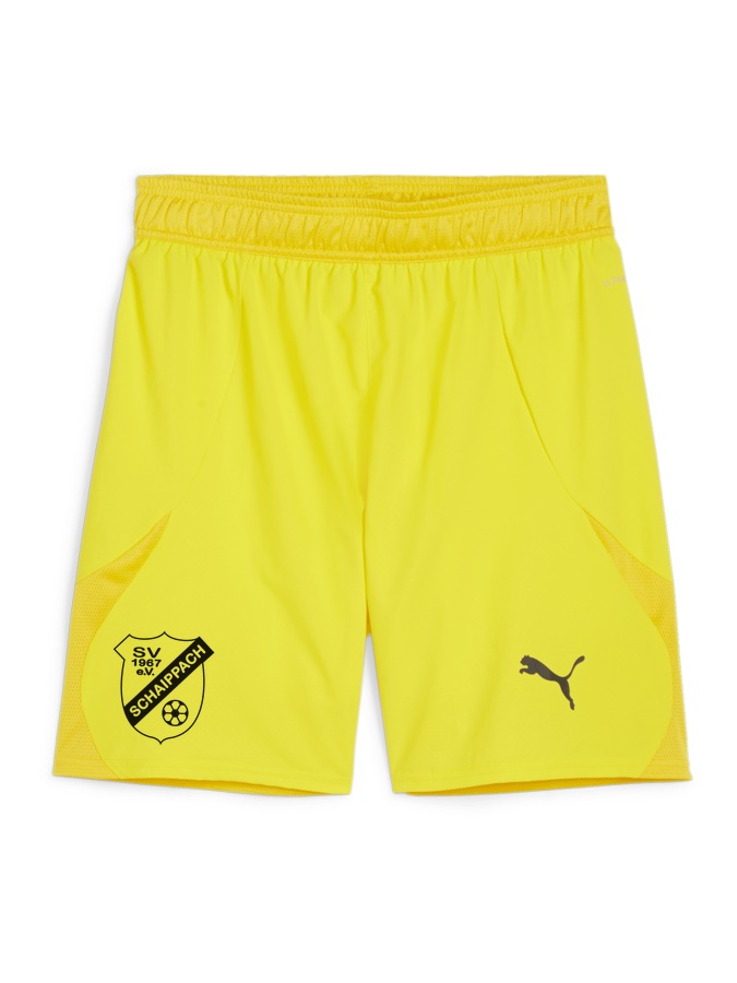 PUMA teamFINAL Shorts