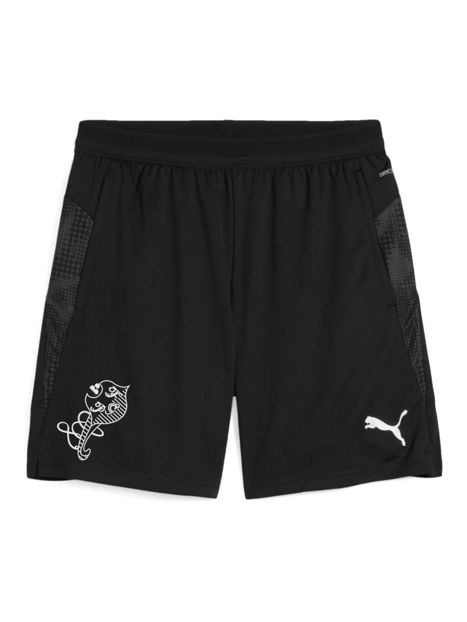 PUMA teamCUP Training Shorts