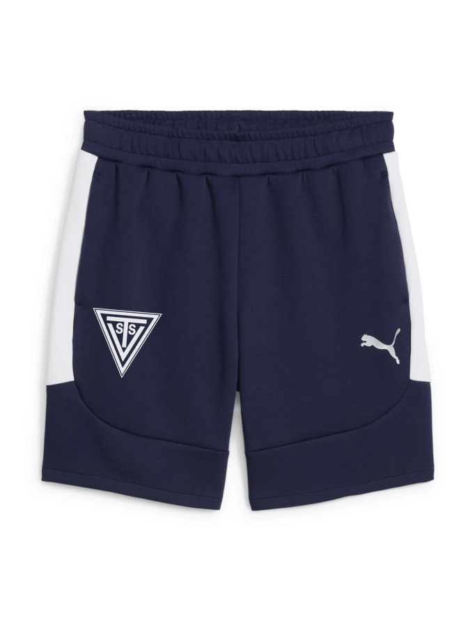 PUMA teamEVOSTRIPE Shorts