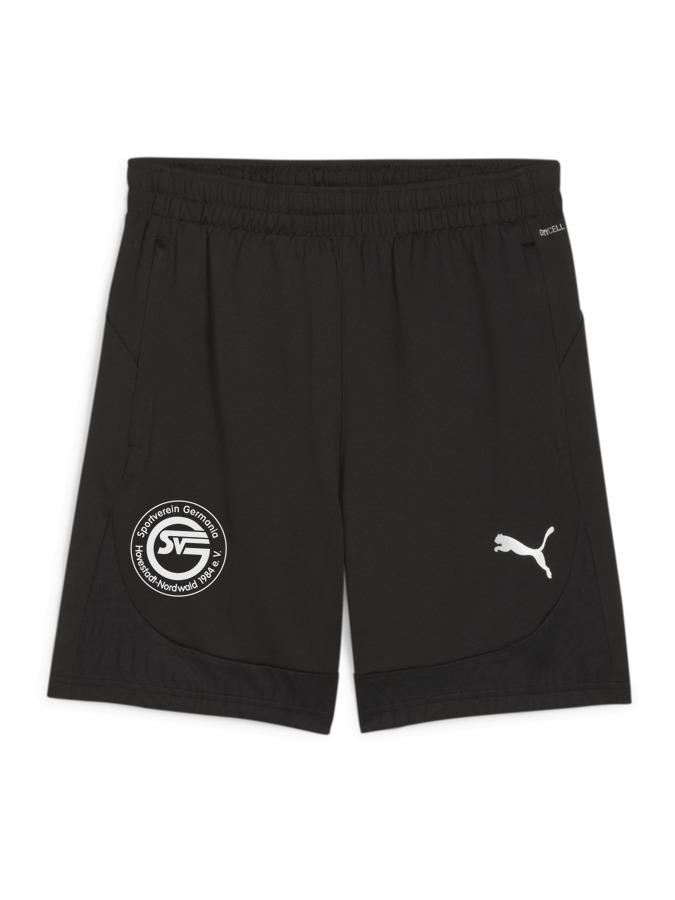 PUMA teamFINAL Training Shorts