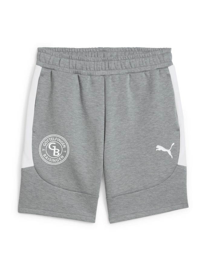 PUMA teamEVOSTRIPE Shorts