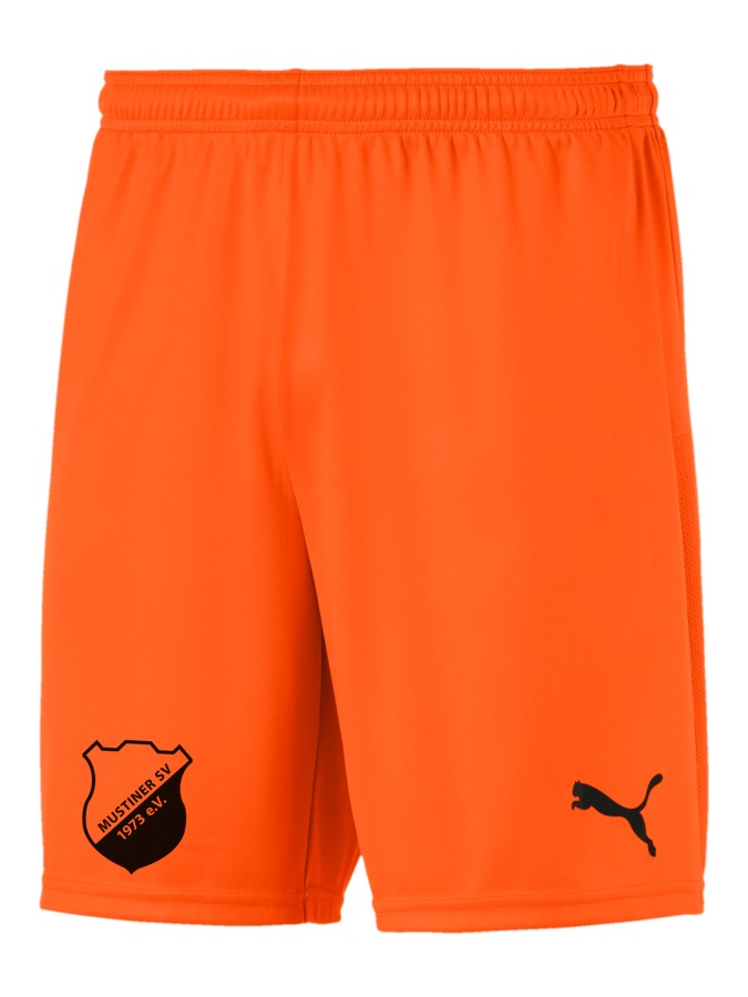 PUMA teamGOAL 23 Knit Shorts