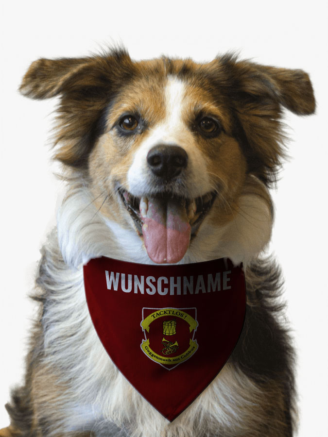 Hundehalstuch