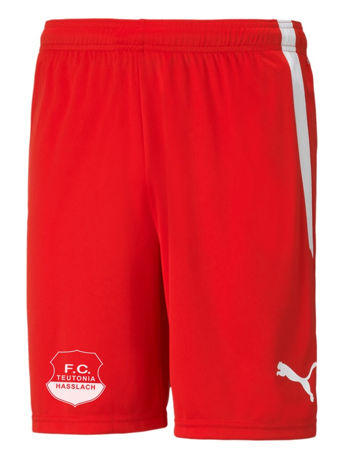 PUMA teamLIGA Shorts