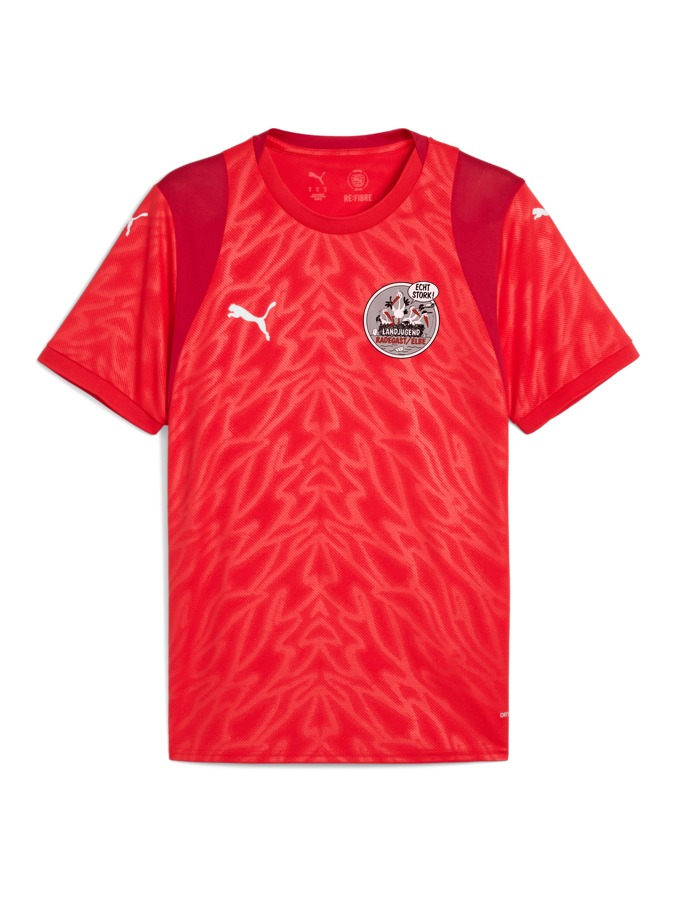 PUMA teamCUP Trikot
