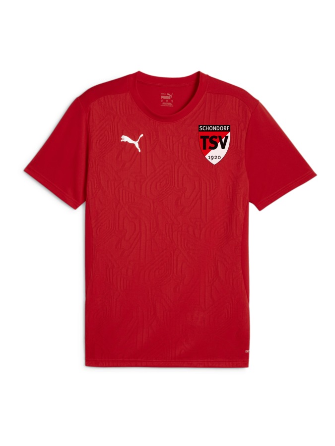 PUMA teamFINAL Trainingsshirt