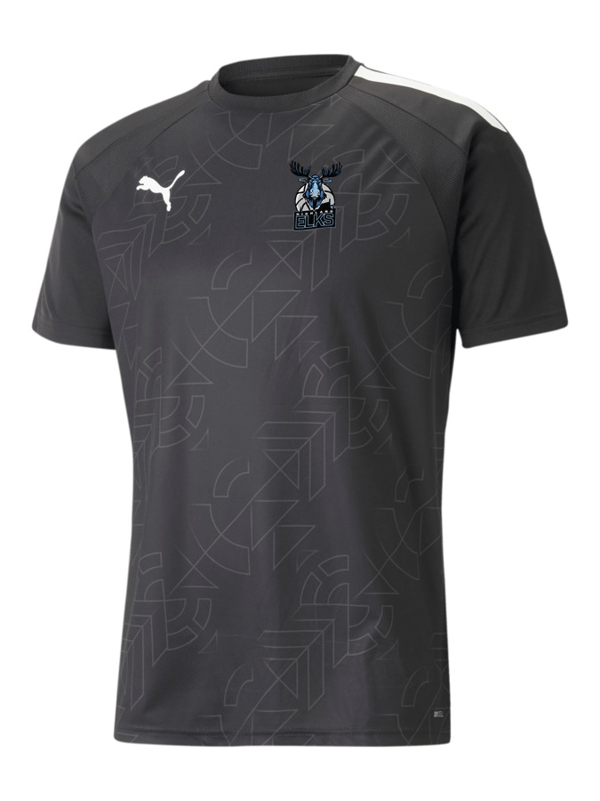 PUMA teamLIGA Graphic Trikot
