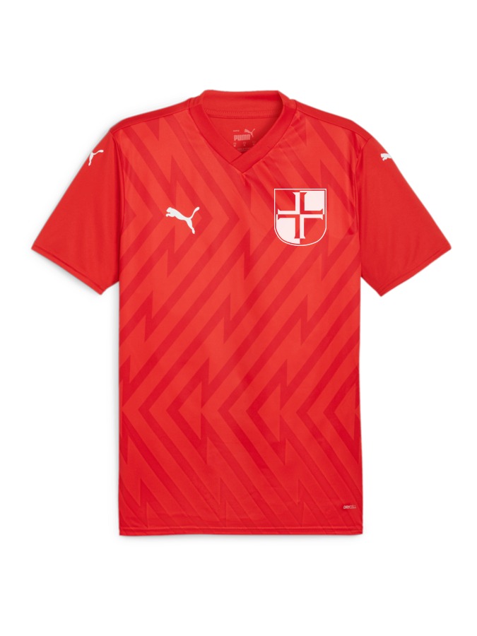 PUMA teamGLORY Trikot