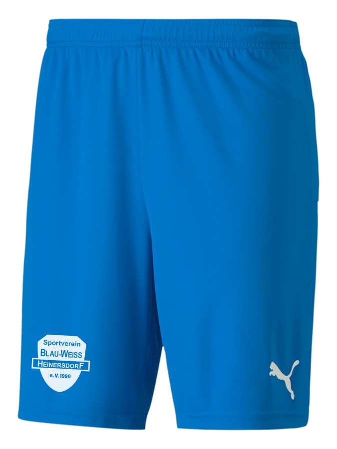 PUMA teamGOAL 23 Knit Shorts