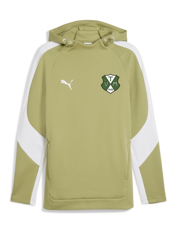 PUMA teamEVOSTRIPE Hoody