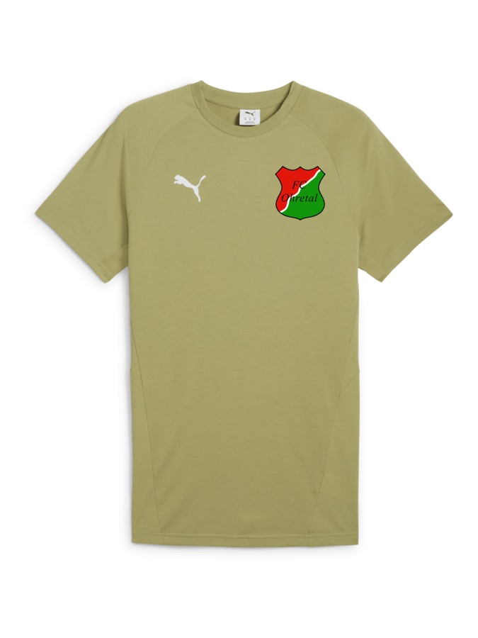PUMA teamEVOSTRIPE T-Shirt