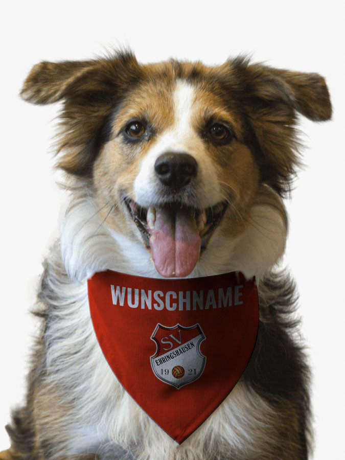 Hundehalstuch