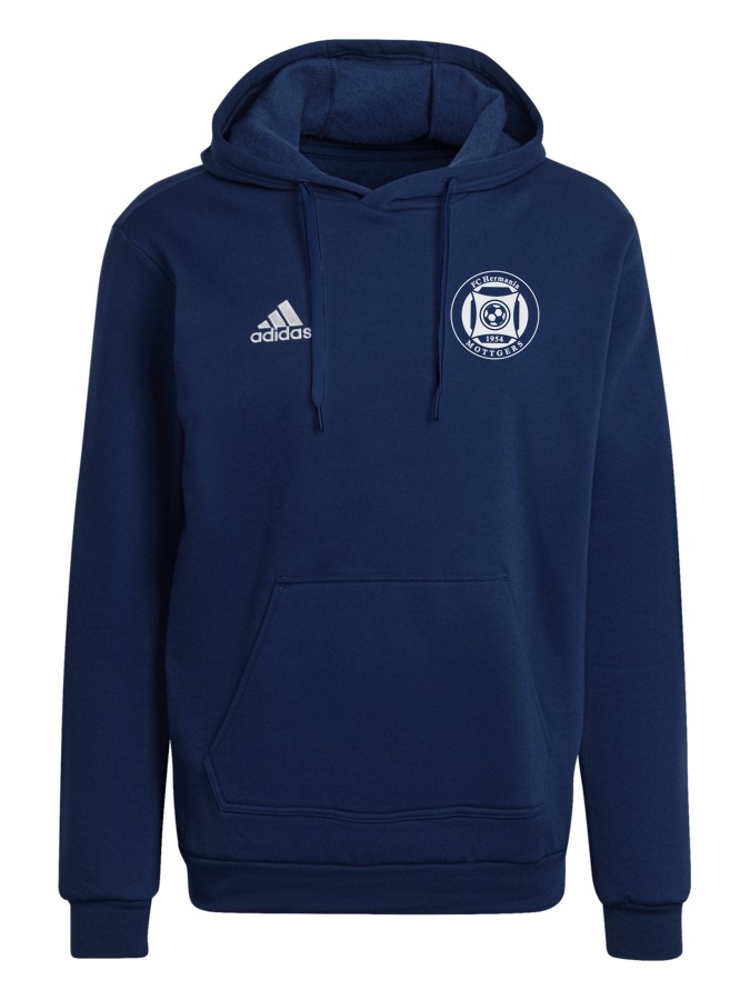 adidas Entrada 22 Hoodie