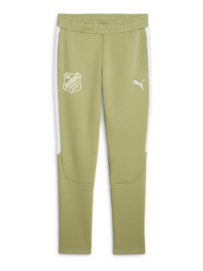 PUMA teamEVOSTRIPE Hose