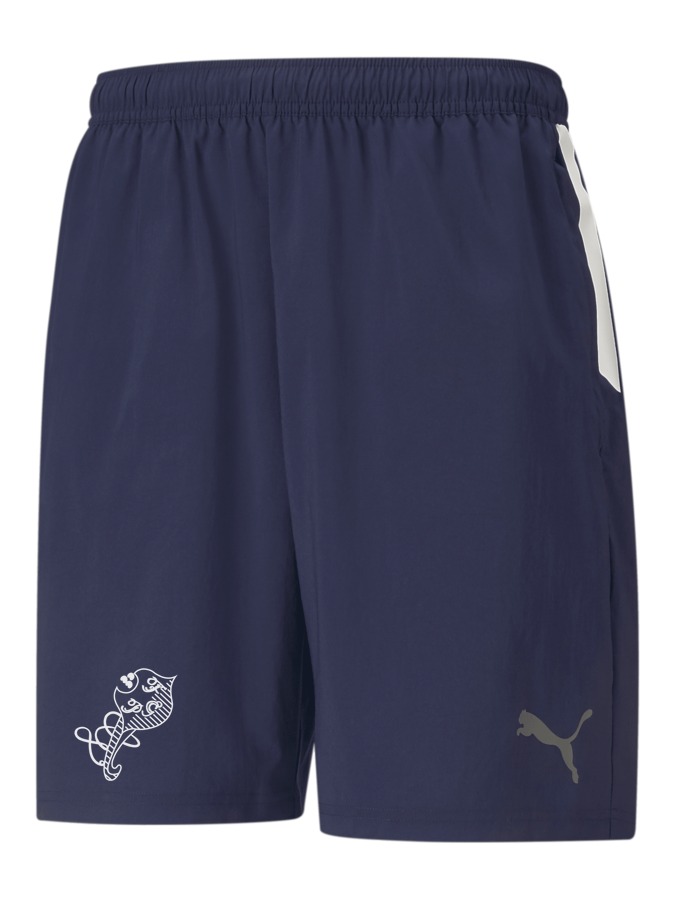 PUMA teamLIGA Sideline Shorts