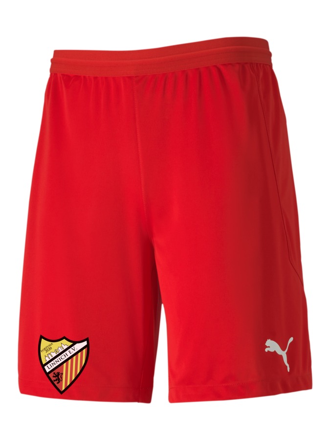 PUMA teamFINAL 21 Knit Shorts