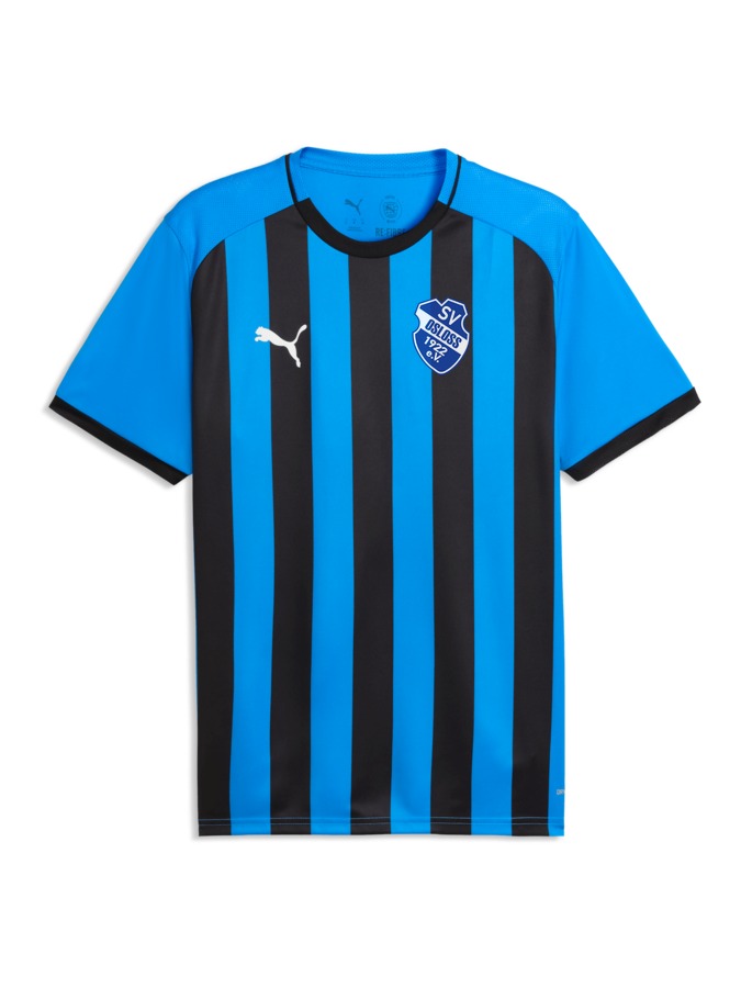 PUMA teamLIGA26 Striped Trikot