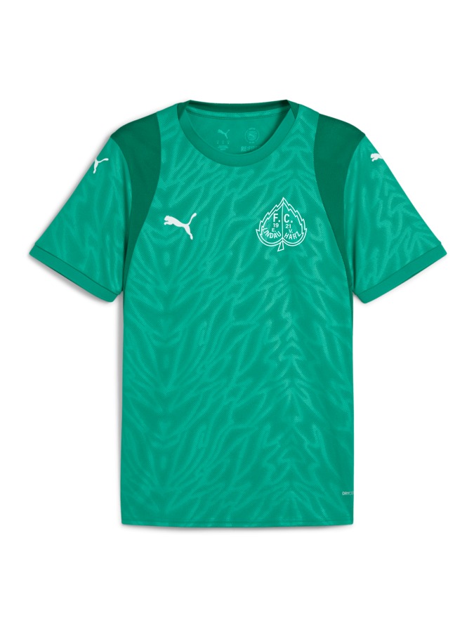 PUMA teamCUP Trikot