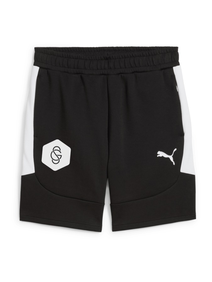 PUMA teamEVOSTRIPE Shorts