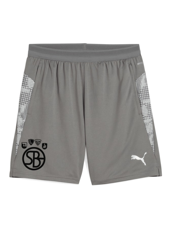 PUMA teamCUP Training Shorts