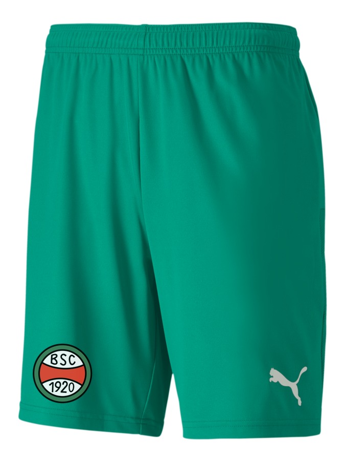 PUMA teamGOAL 23 Knit Shorts