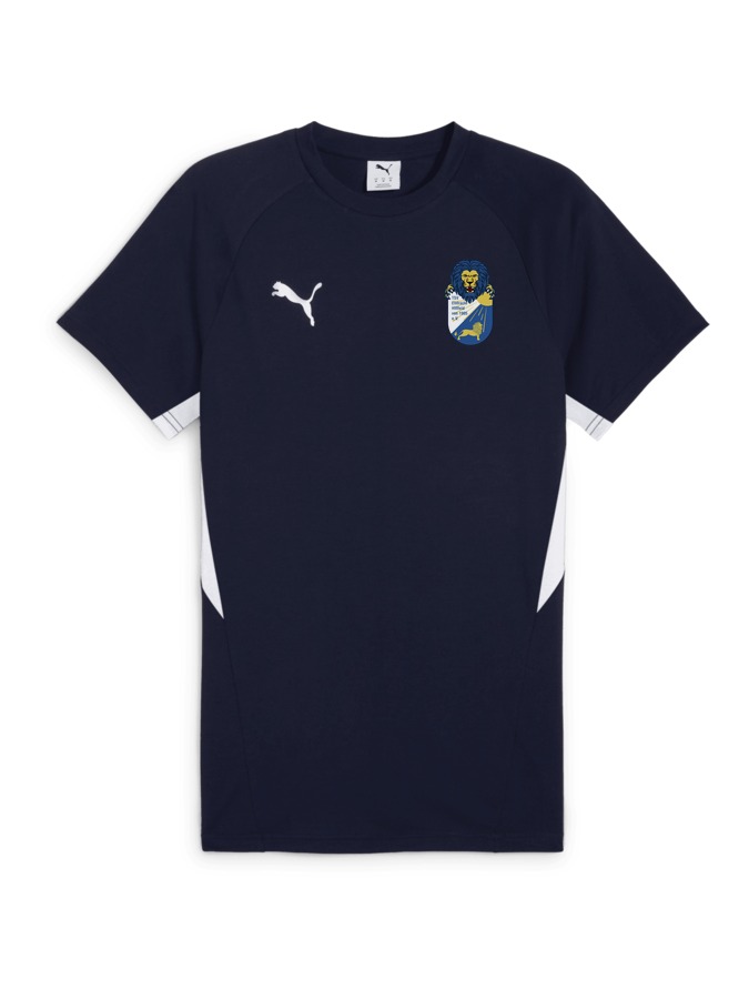 PUMA teamEVOSTRIPE T-Shirt