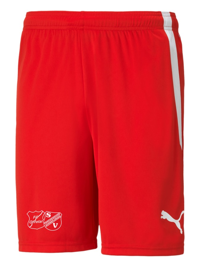 PUMA teamLIGA Shorts