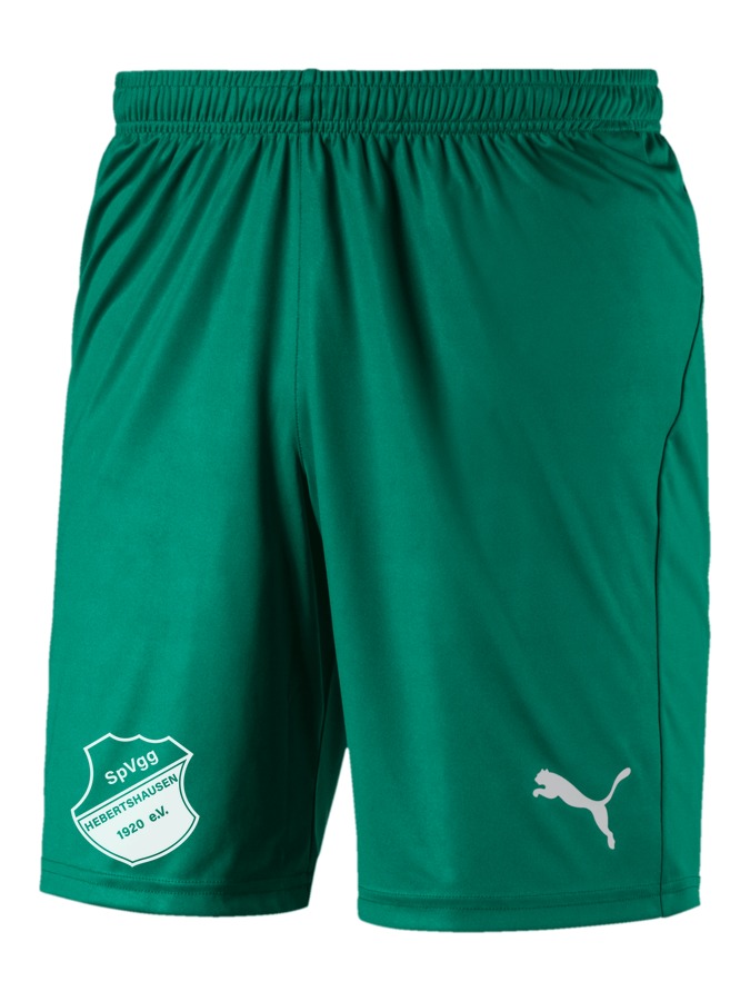 PUMA LIGA Shorts Core
