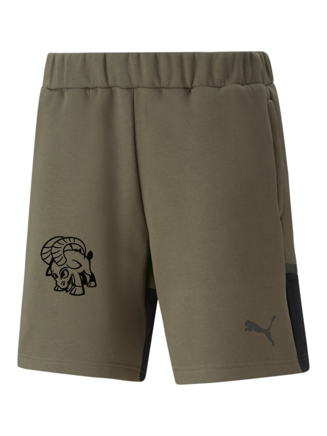 PUMA teamCUP Casuals Shorts